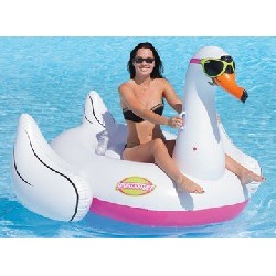 Cool Swan Float, 1-2...